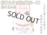 【ネコポス不可】彩絵大当り招き猫（小・白）宝くじ入れ/宝くじ大当たりのお守りに【7584】