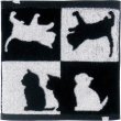 画像1: Abeille 今治 タオルハンカチ 日本製 ネコ 猫 ねこ ハンドタオル シンプル かわいい おしゃれ シルエット 黒猫 ネコポスOK
